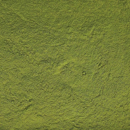 Organic Moringa Superfood Powder